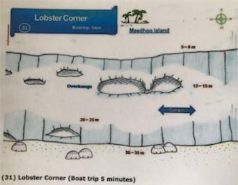 Lobster Corner